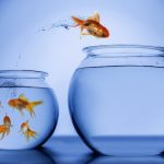 Nous avons deux vies (Confucius)